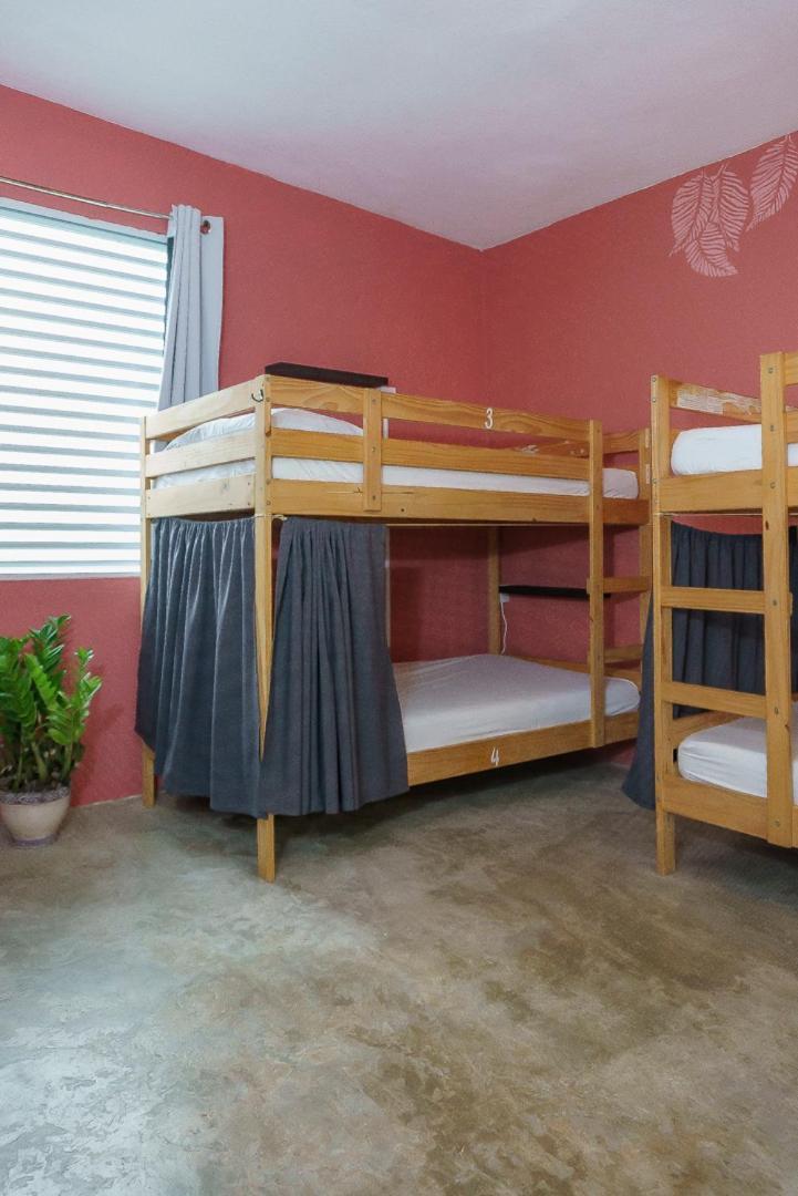 Hostel Casa Coral Luquillo Zewnętrze zdjęcie